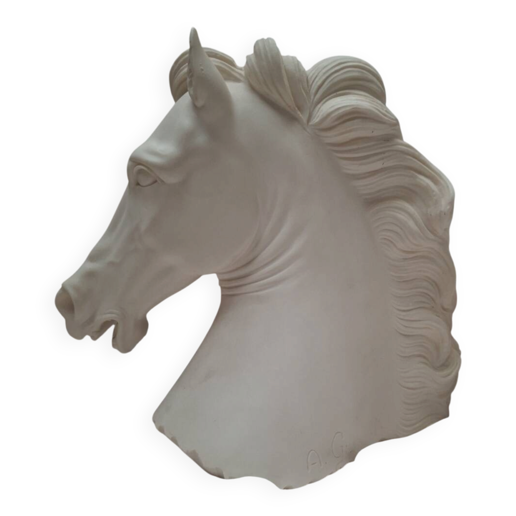 Horse head A. Giannelli