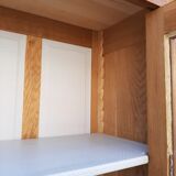 Ancient parisian oak library