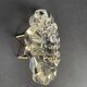 Pierre D'Avesn France molded crystal ashtray