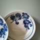 Lot de 2 assiettes vintage Badonviller motif fleurs bleue modèle capucine