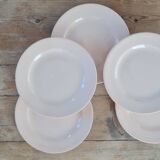 Set of 5 vintage earthenware plates