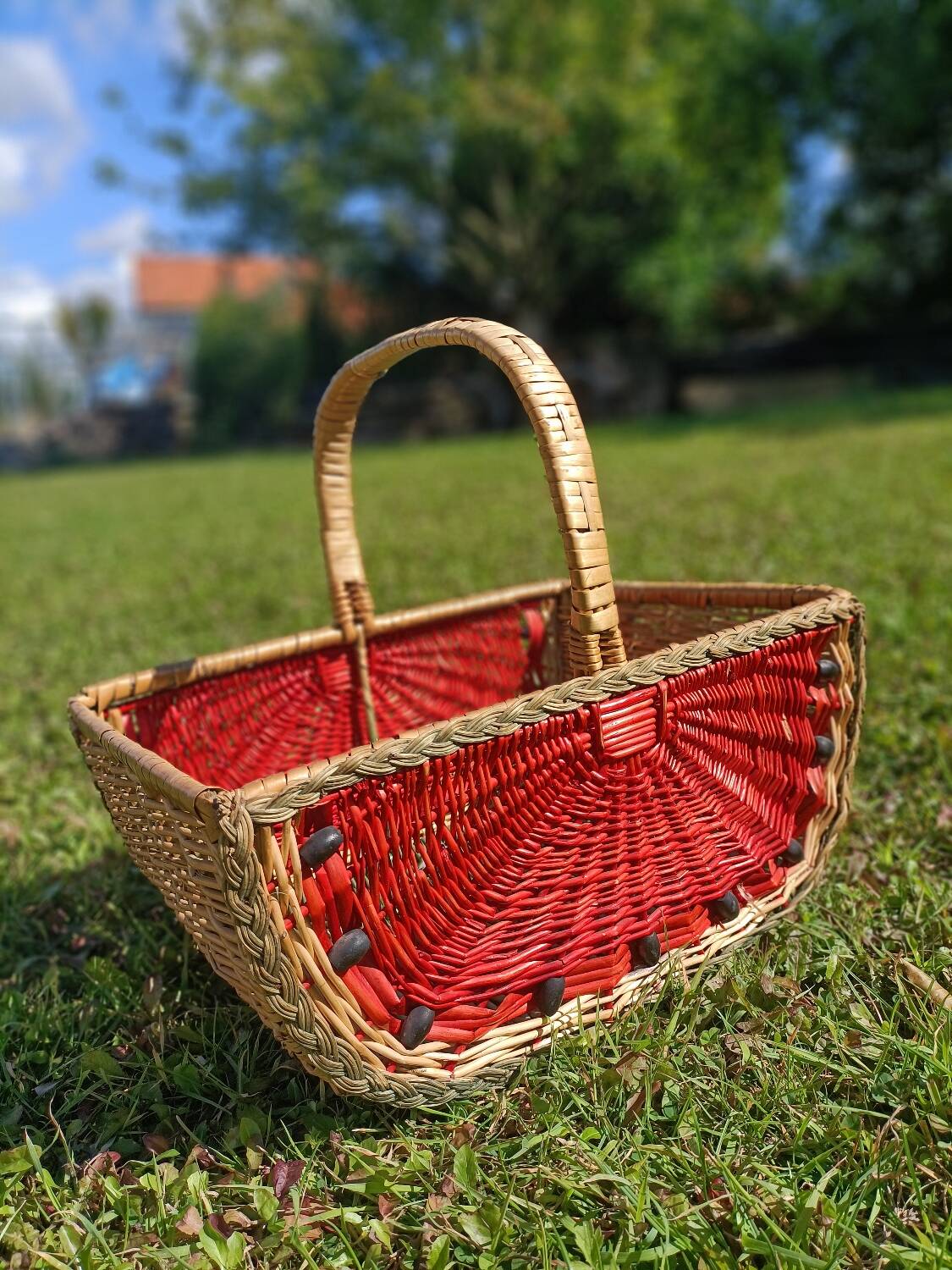 Retro Watermelon Basket