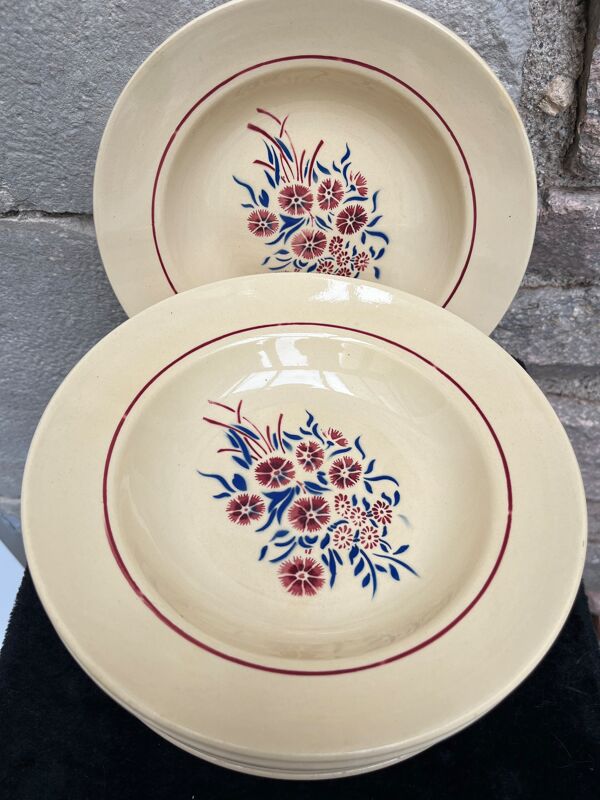 Set 12 assiettes creuses « Œillets » Badonviller
