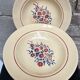 Set 12 assiettes creuses « Œillets » Badonviller