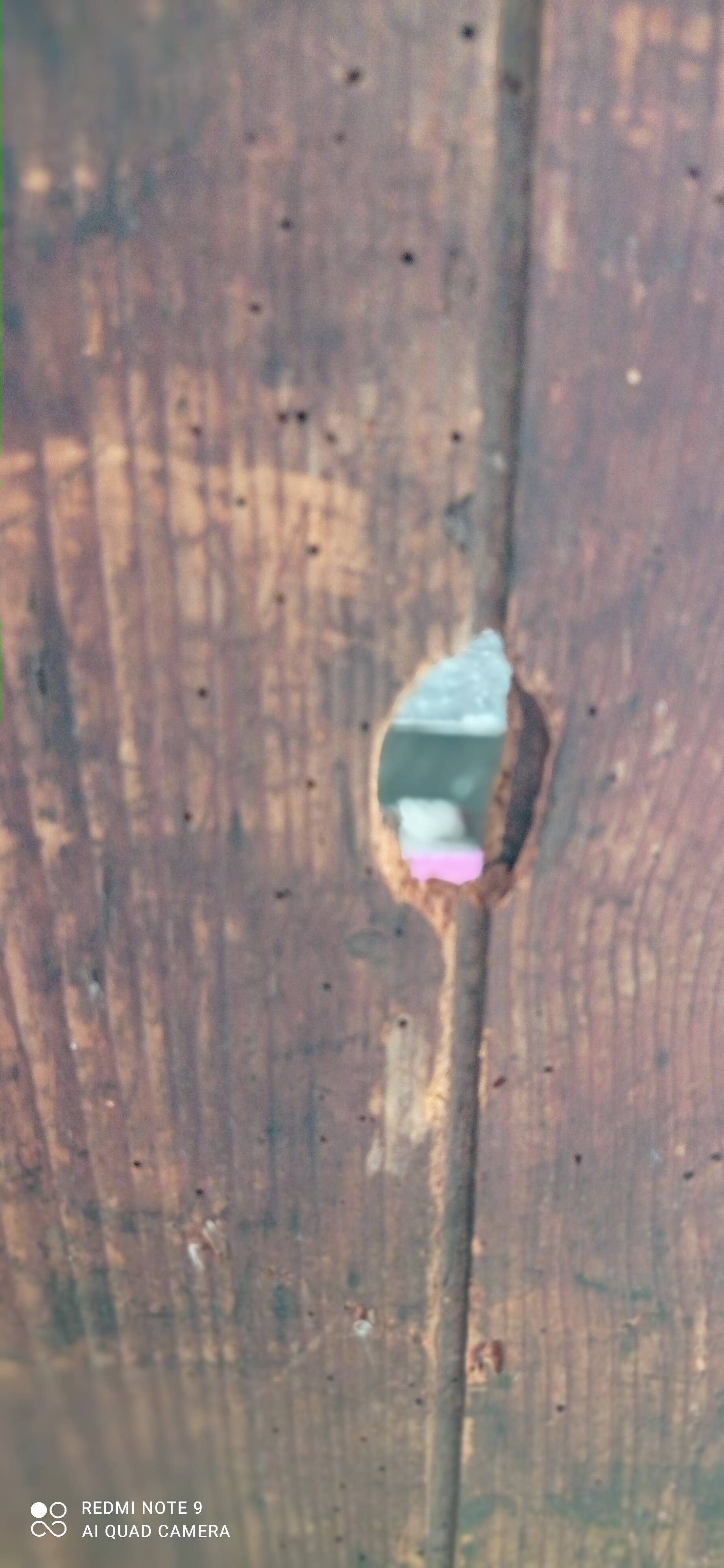 Old vintage display case