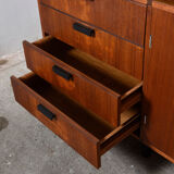 Buffet by Cees Braakman for Pastoe 1950 s