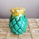Pineapple salt and pepper shaker duo in slip