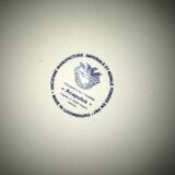 Lot of 8 Acapulco flat plates