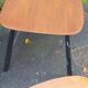 Lot of 3 chairs Fanett by Ilmari Tapiovaara 1960
