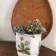 Cover - white ceramic pot decorated with stylized flowers.