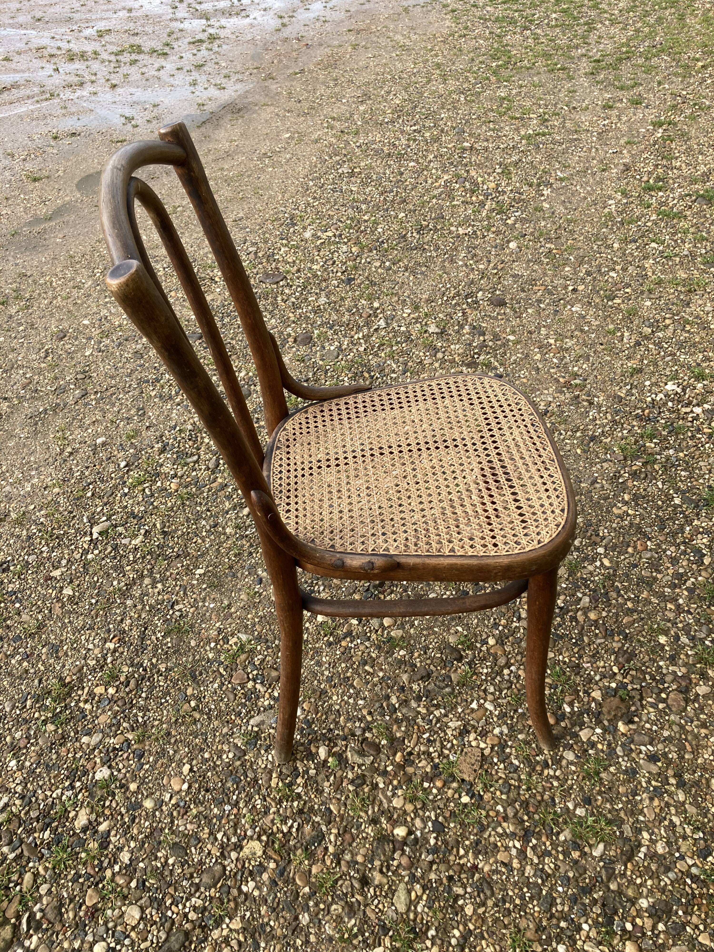 Series of 6chairs bistro Thonet