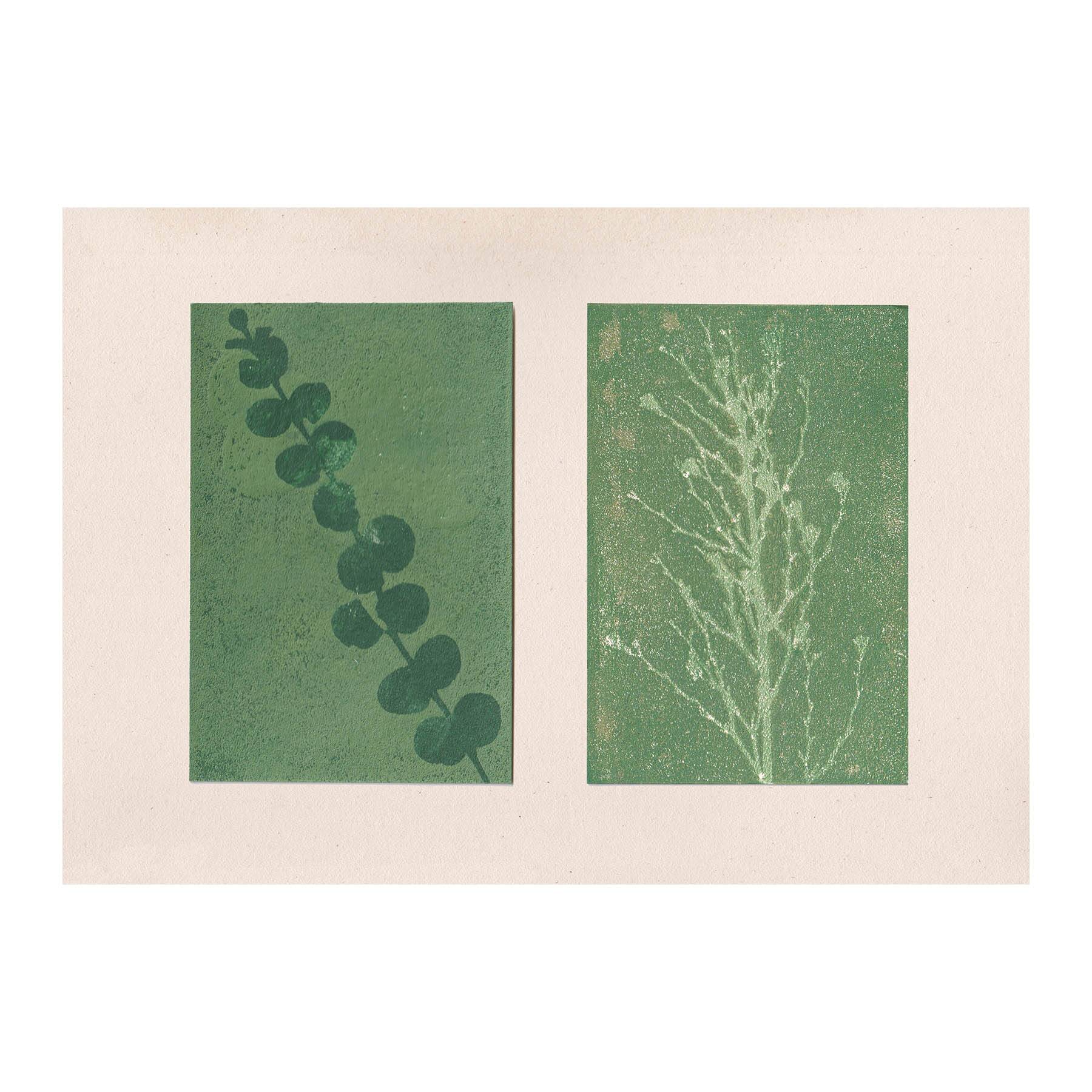 Duo of paintings on paper, herbarium and botanical series signed Eawy.