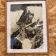 Photographic reproduction Tairraz – Framed alpine landscape