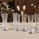 Engraved crystal glasses