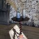 19th century pedestal table in twisted wood Louis XIII tripod
