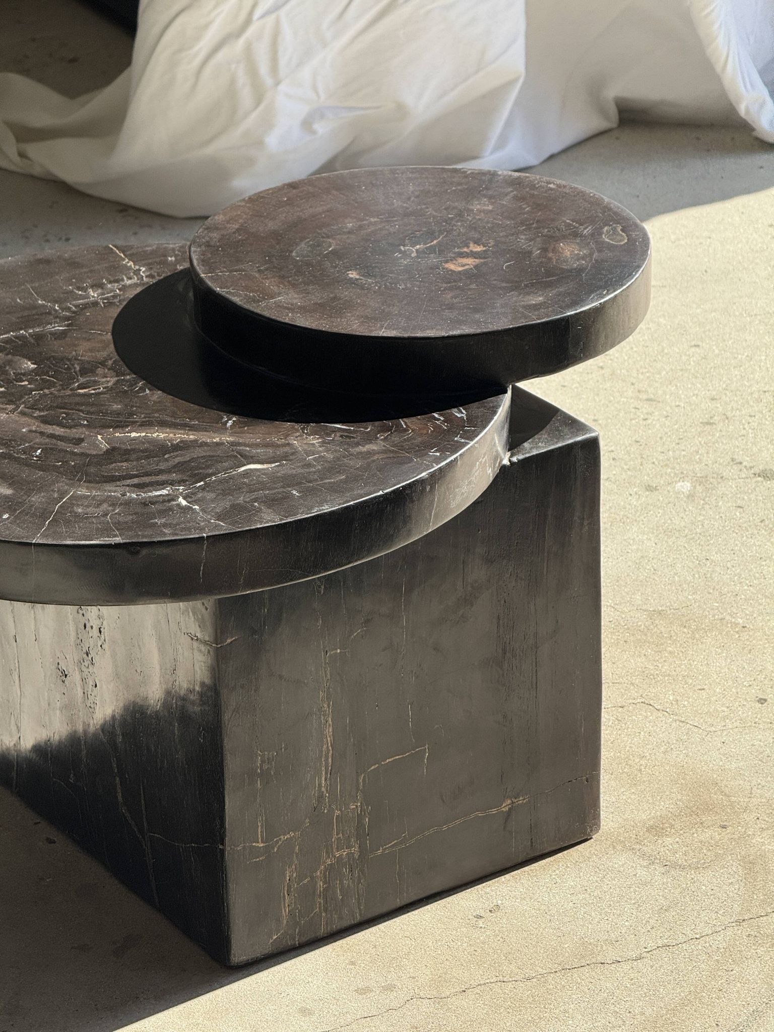 Brown petrified wood coffee table from Indonesia with a double circular top.