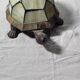 Turtle lamp