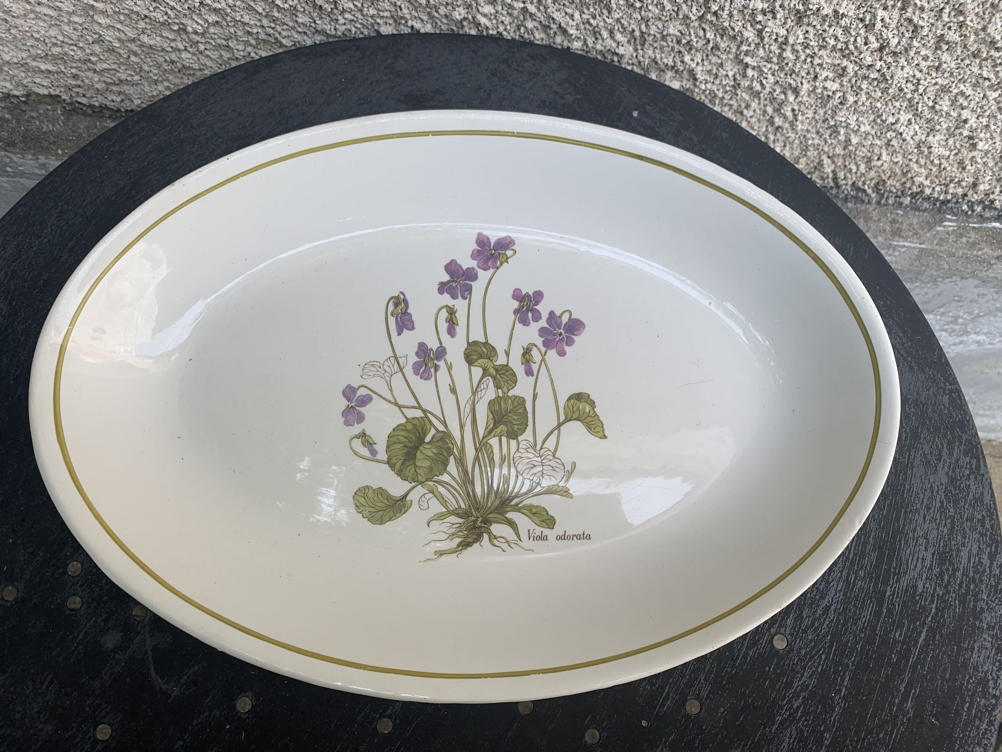 Serving dish in earthenware herbarium model, viola odorata mill of wolves orchies france vintage