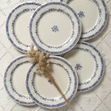 Blue flower plates Creil and Montereau