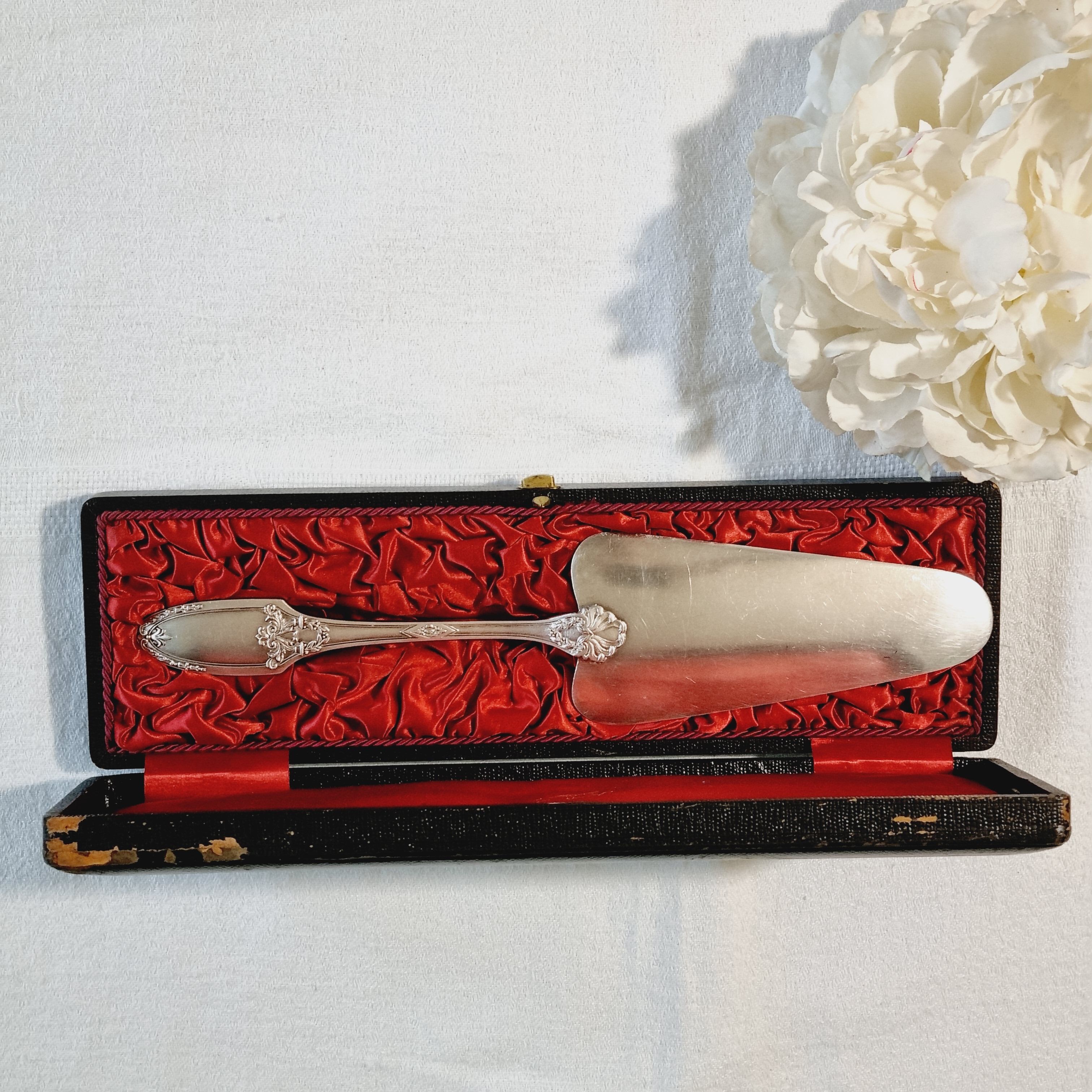 Boulenger pie shovel