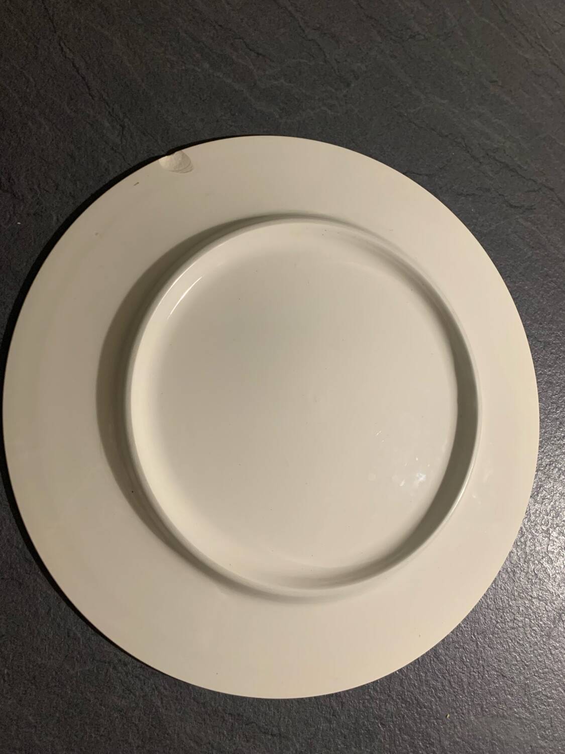 Very large decorative plate.