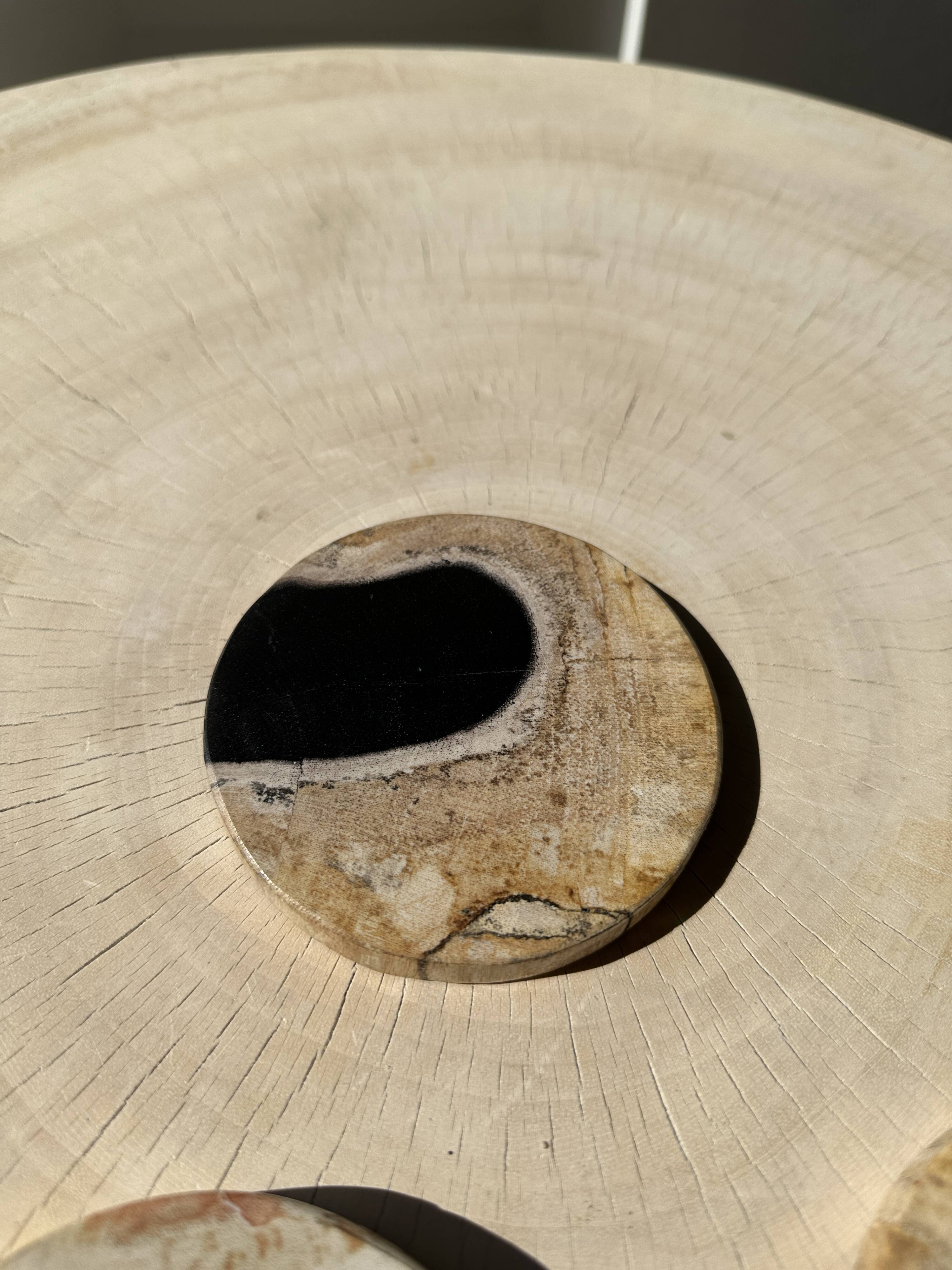 Set of 3 fossilized wood coasters (clear)