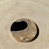 Set of 3 fossilized wood coasters (clear)