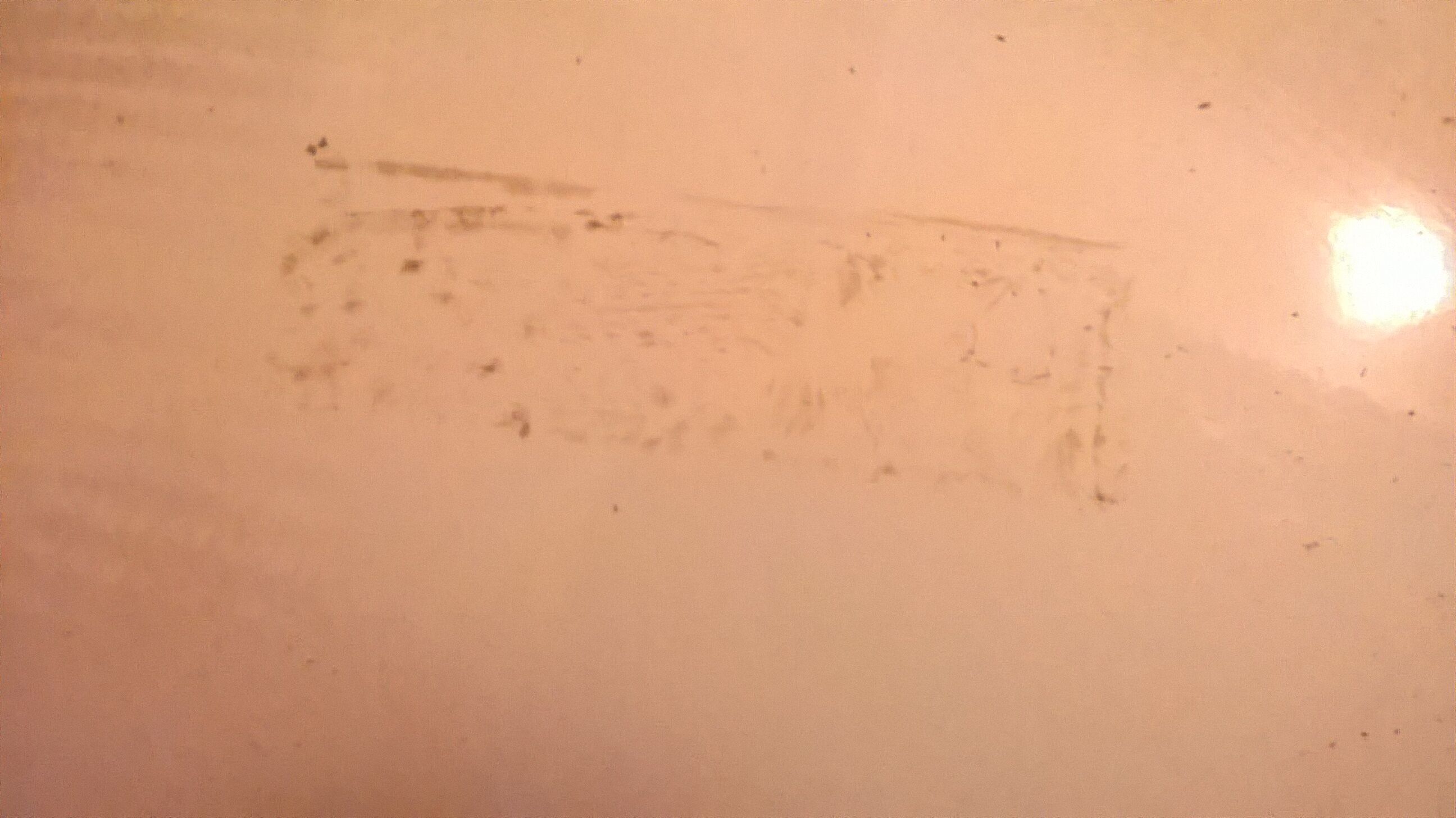 White phone booth space age 70s