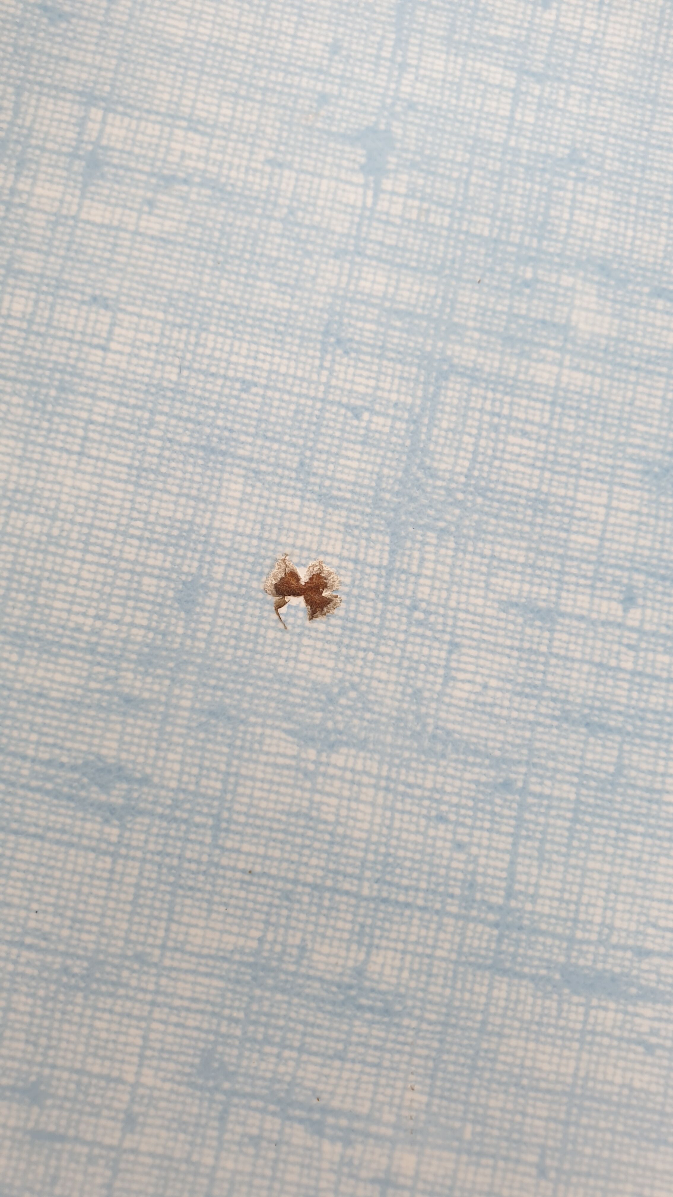 2 sky blue Formica chairs