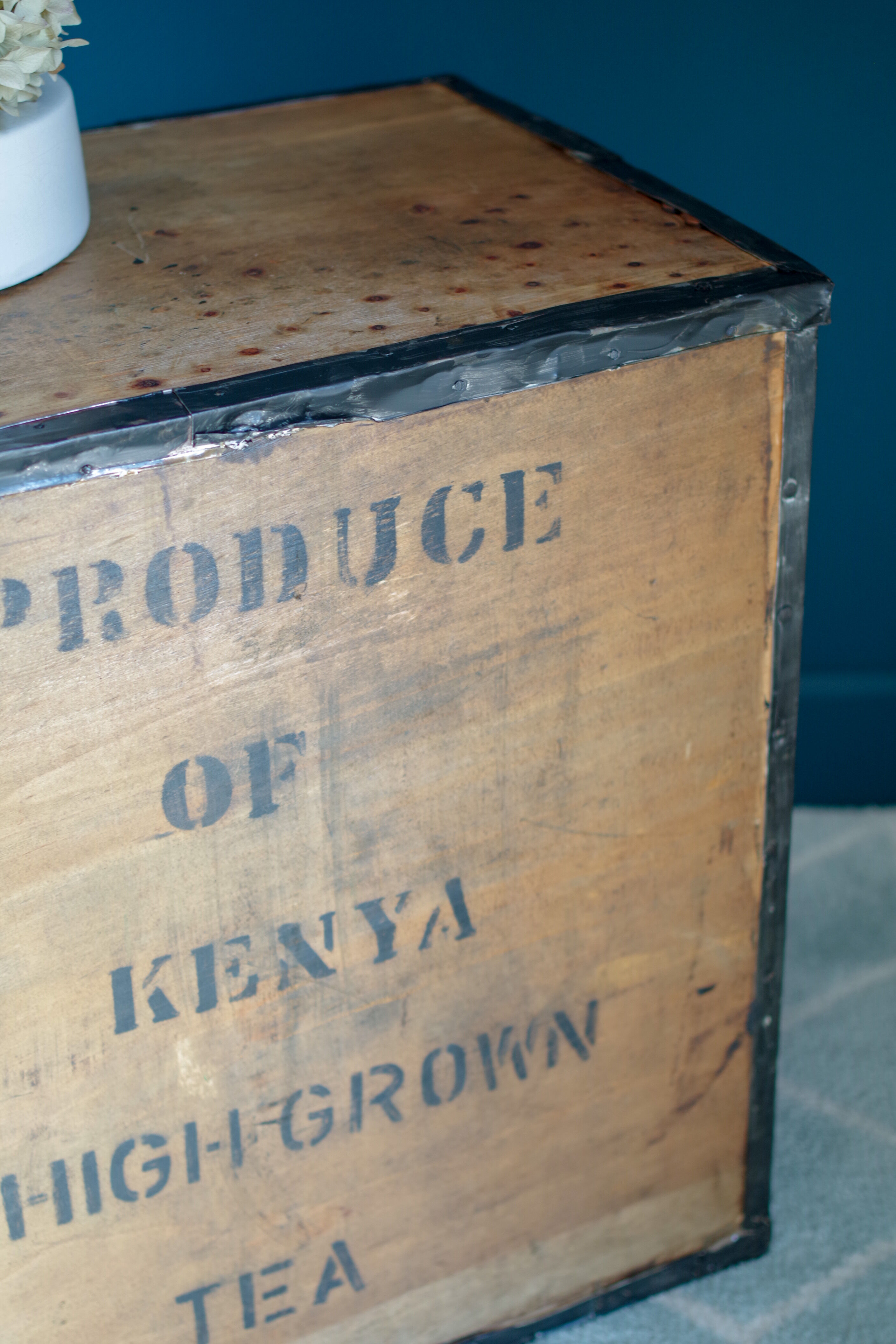 Vintage transport case