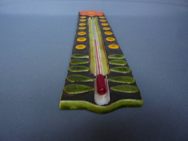 Thermometer with a scales