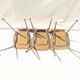 Lot  de 3 chaises  formica couleur  bois