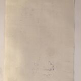 Elie Dayan, Untitled (Vegetal Pattern 2). Mixed media on paper.