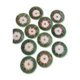Lot de 12 assiettes barbotine marguerite