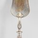 Old cake shovel