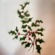 Flat Iron Holly Christmas