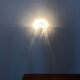 1 of 2 Floral Crystal Glass Wall Lamps by Ernst Palme