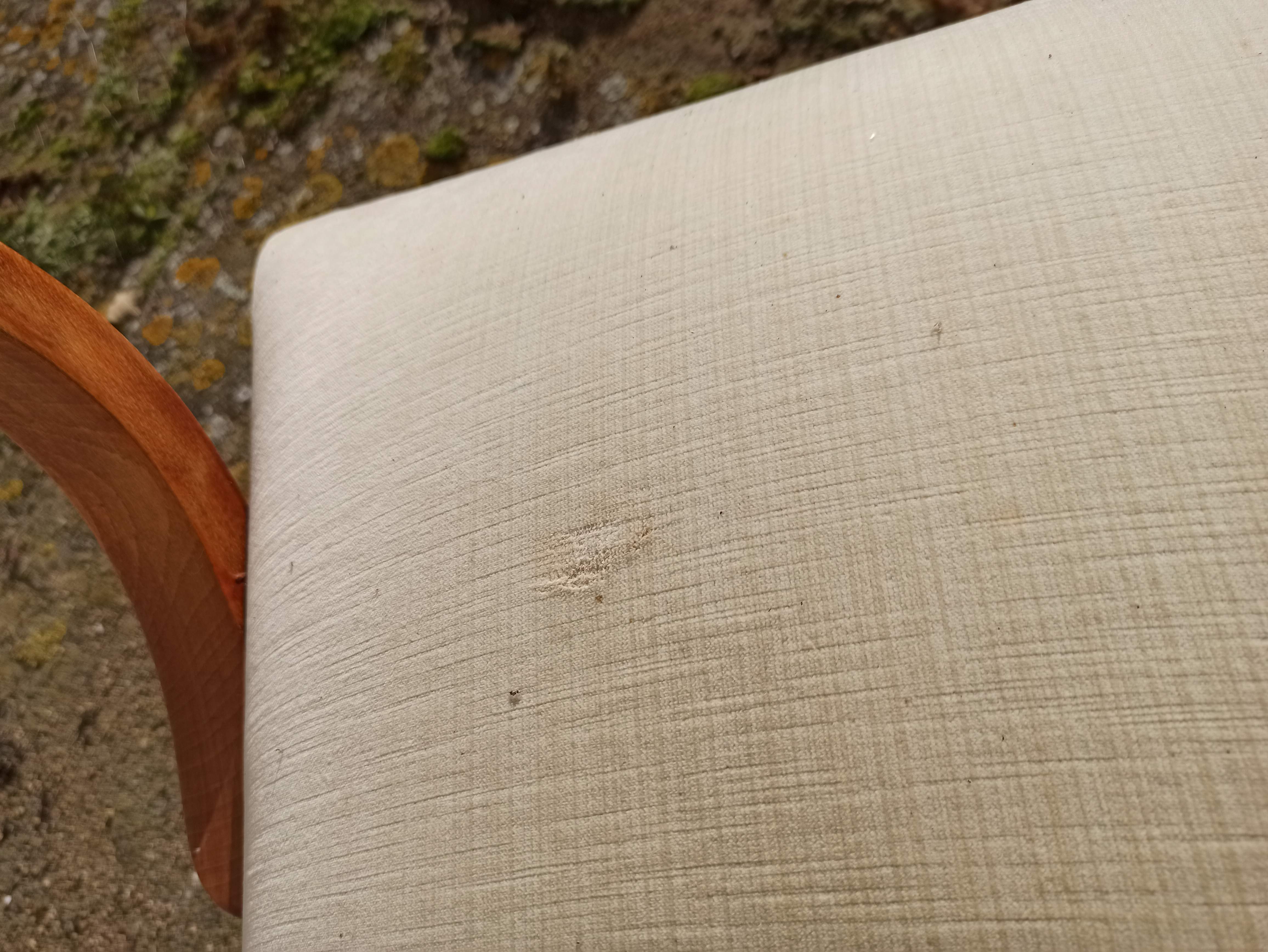 Pair of bridge armchairs from the 50s off-white velvet