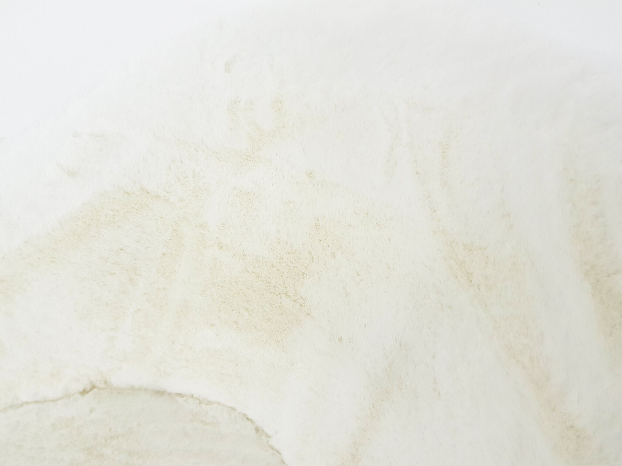 Hartmut Lohmeyer for Artifort lounge chair Model 118 "Columbus", The Netherlands 1957