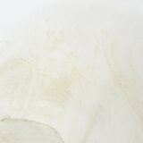 Hartmut Lohmeyer for Artifort lounge chair Model 118 "Columbus", The Netherlands 1957