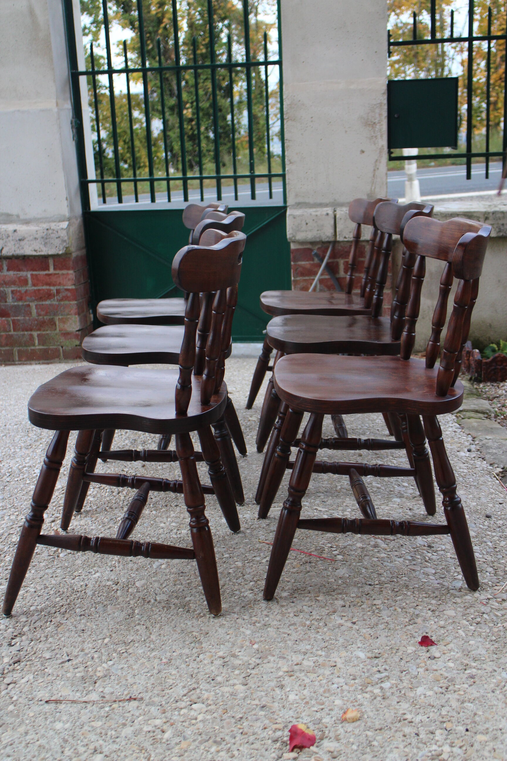 Series of 6 western chairs