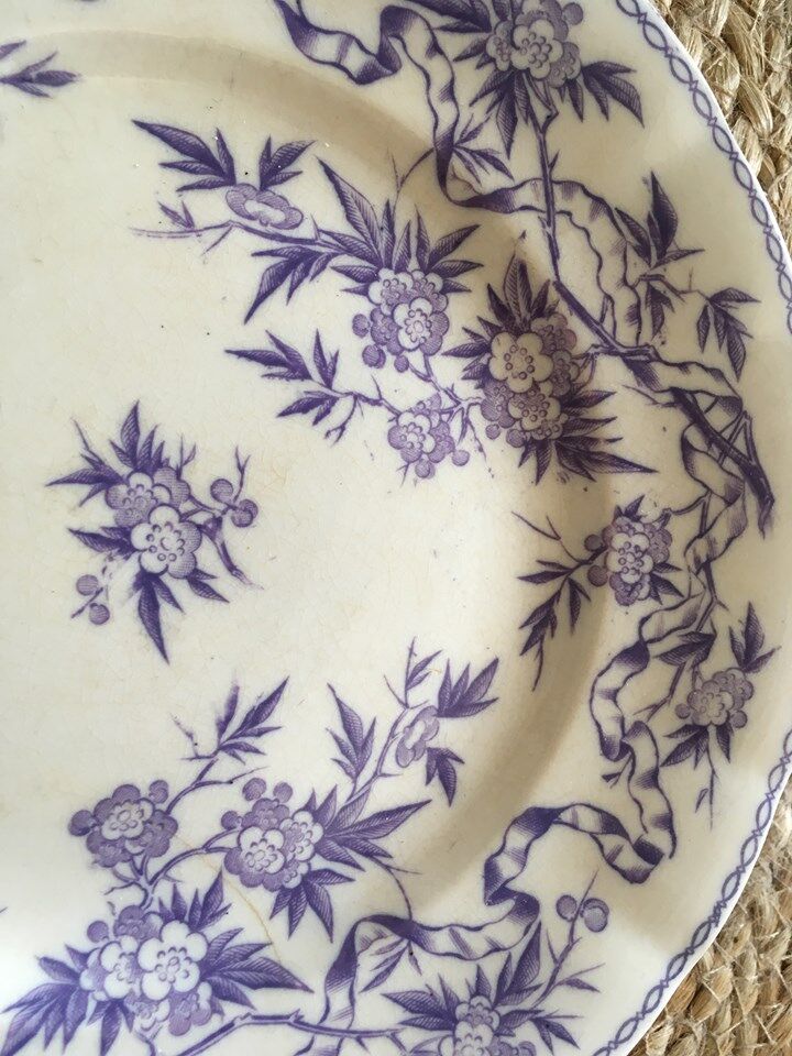 Six plates serves iron land U & C Sarreguemines collection "Thorn".