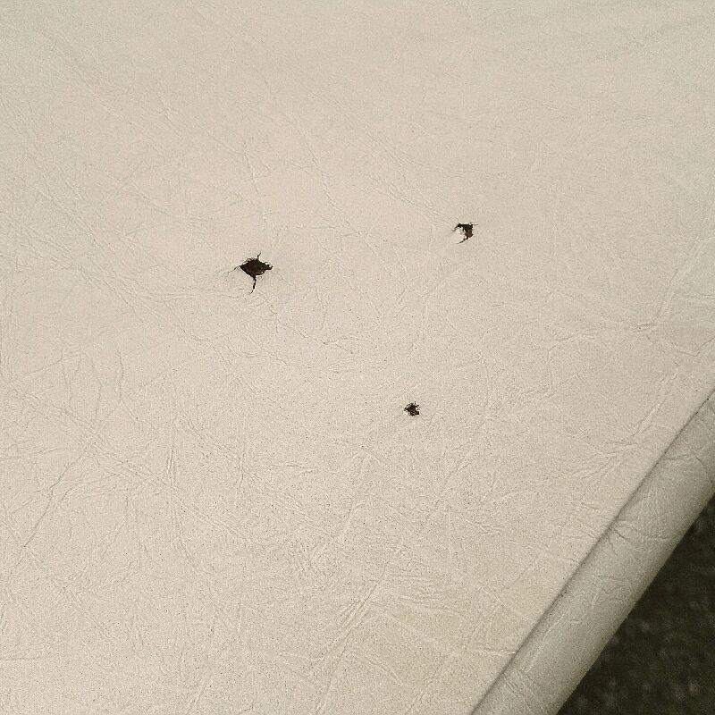 Chrome-designed chair and faux white leather 1970