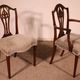 set of 6 chairs and two armchairs in mahogany from the 19th century
