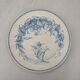 Old flat plate, light blue ironstone, HB Choisy-le-Roi model.