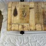 Table basse R.Capron 1960