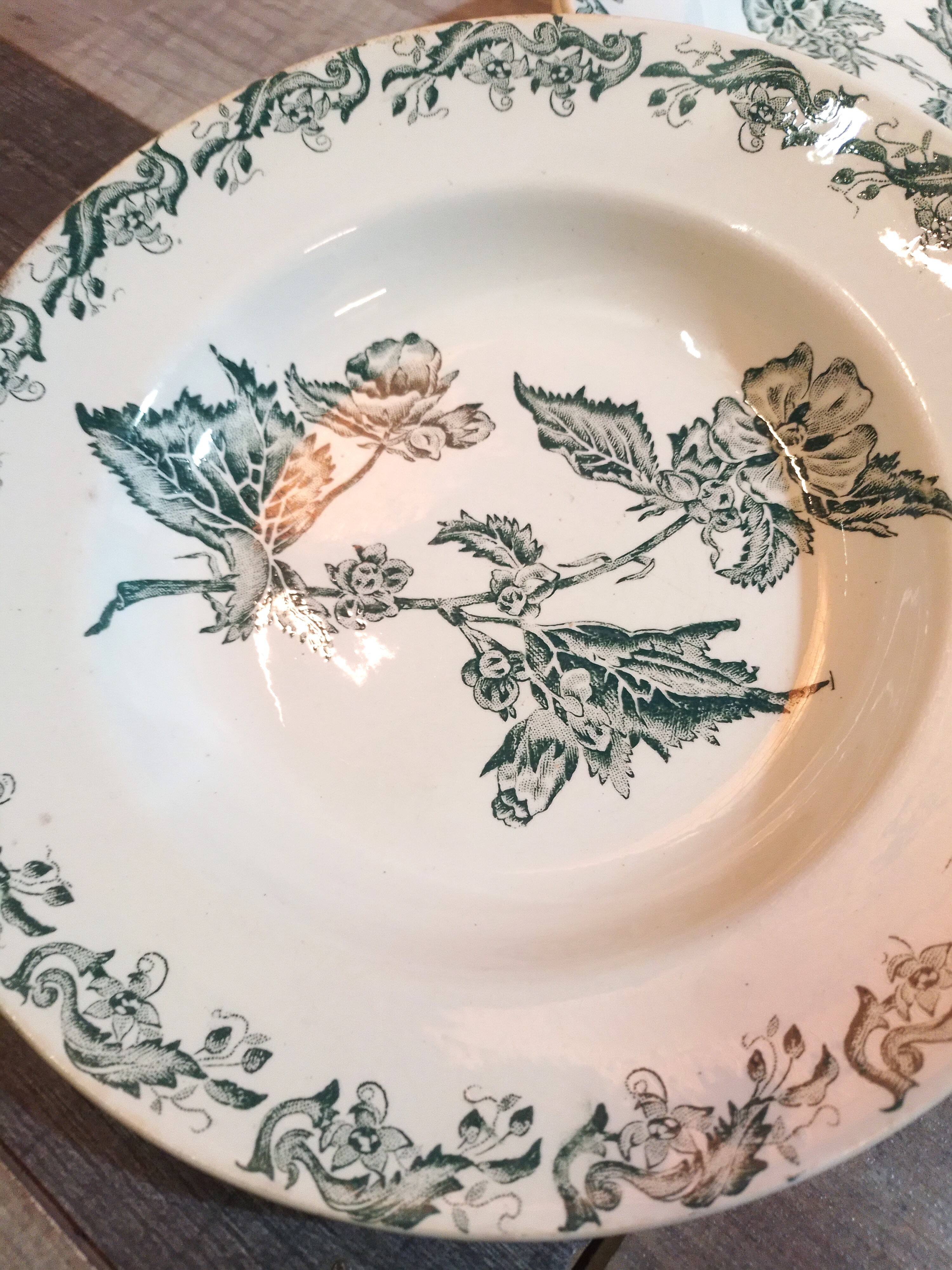 Plates x6 St Amand iron earth 1900s