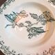 Plates x6 St Amand iron earth 1900s