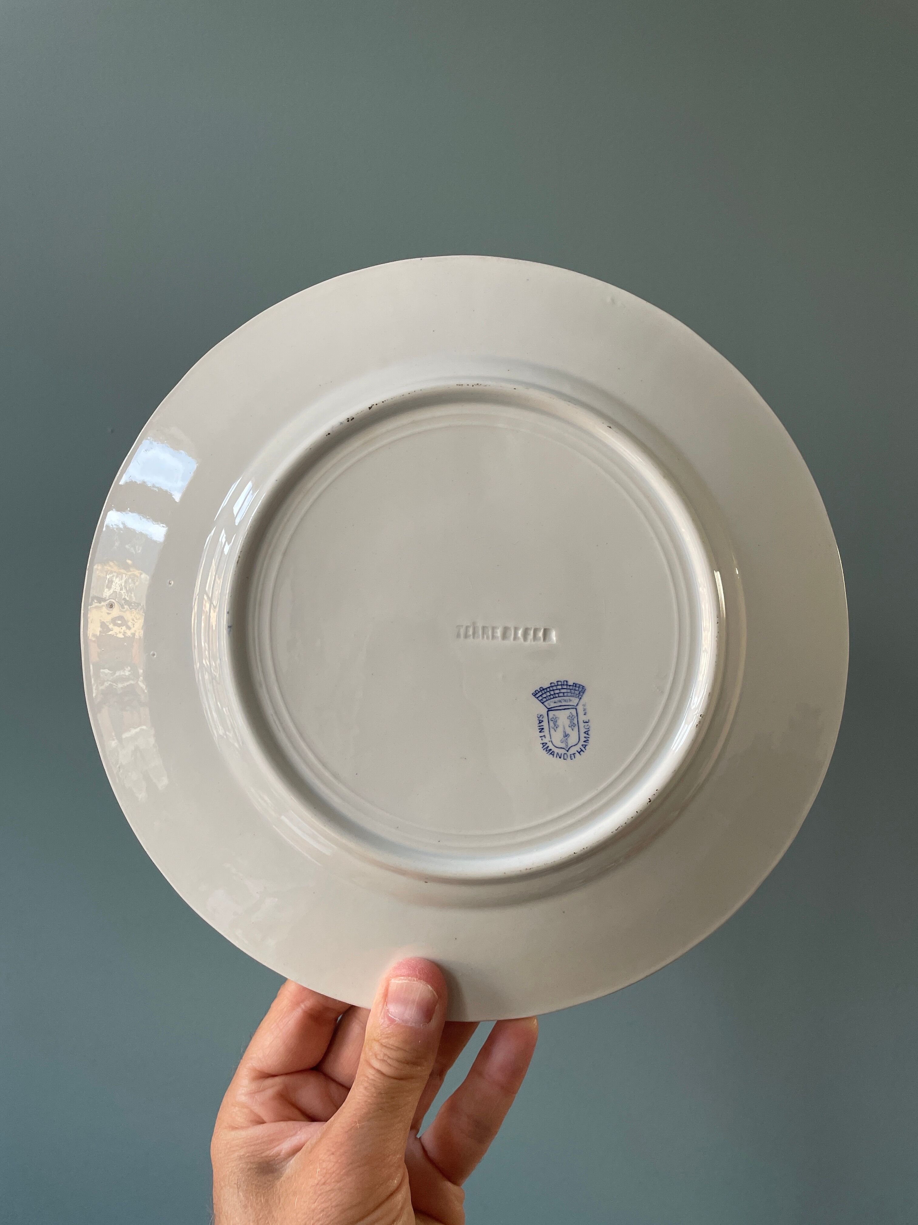 Lot de 6 assiettes plates Terre de Fer St Amand et Hamage