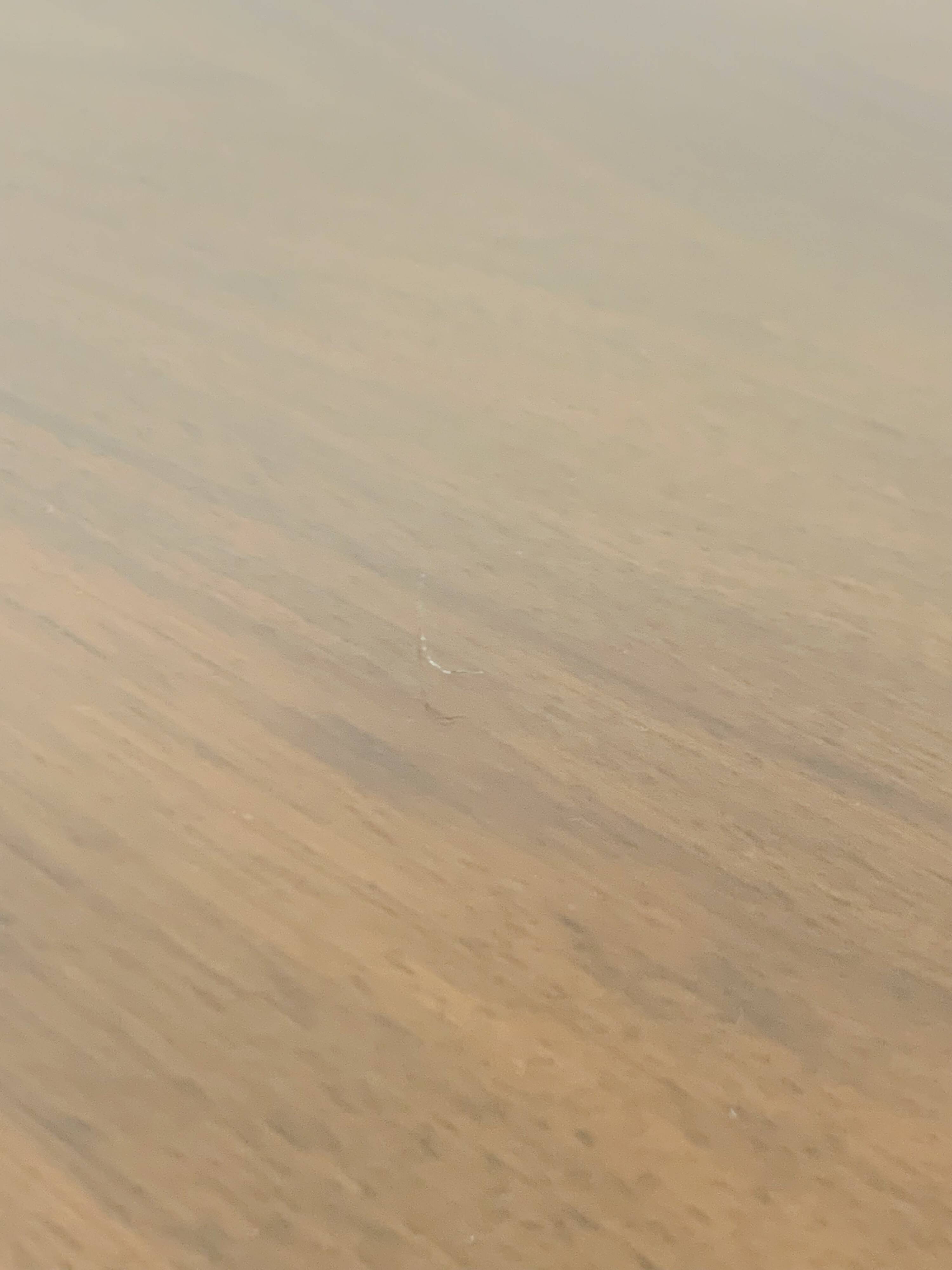 Pair of Art Deco bedside tables, 1930s